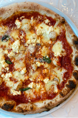 Polpetta